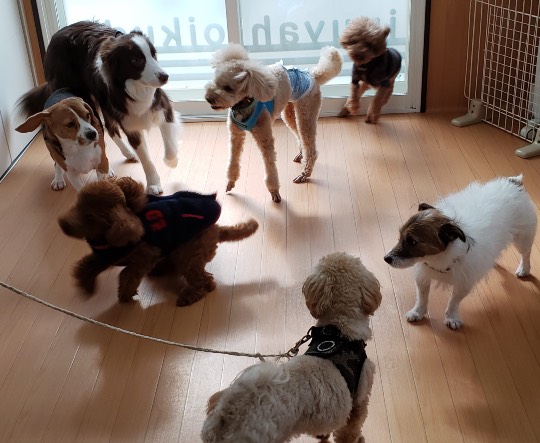 生き物ルーム第33