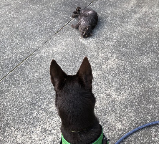 生き物ルーム第34