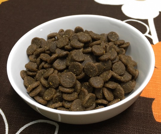 生き物ルーム第36