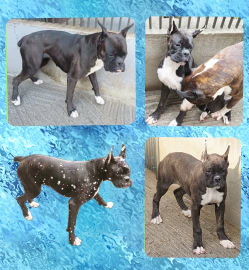 生き物ルーム第35