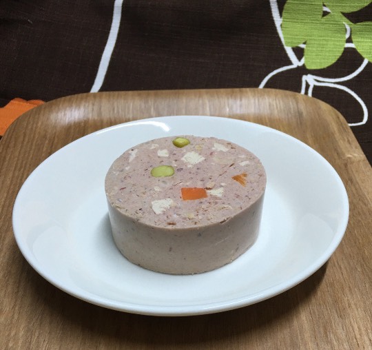 生き物ルーム第36