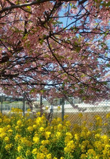 マスク同窓会詰所兼ニューフェイス歓迎所16