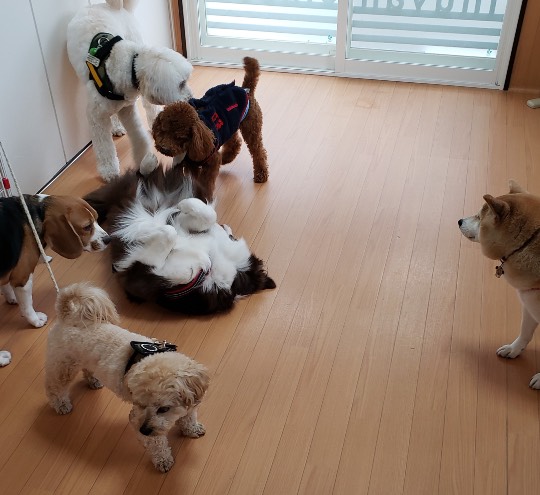 生き物ルーム第33