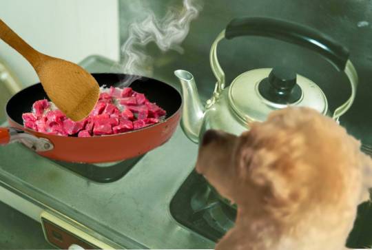 生き物ルーム第35