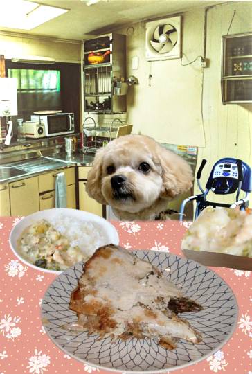 生き物ルーム第35