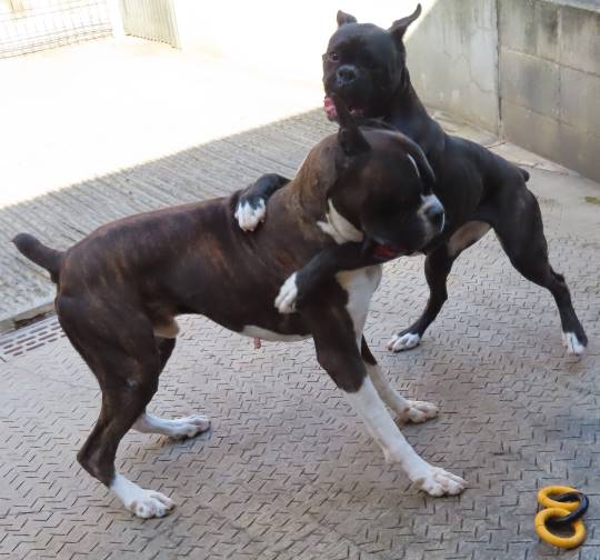 生き物ルーム第35