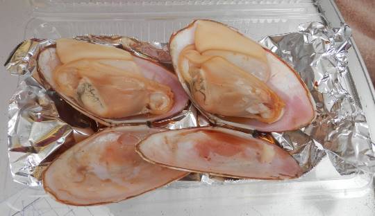 【スナックJINJIN】今日は１周年＆11号店　めでて～なぁ～　