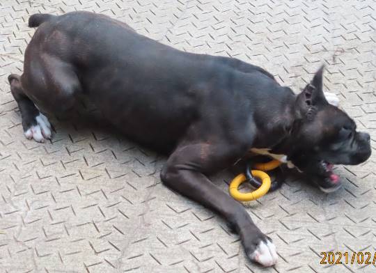 生き物ルーム第34