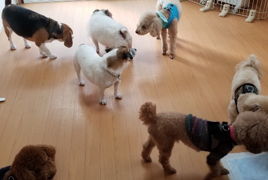 生き物ルーム第34