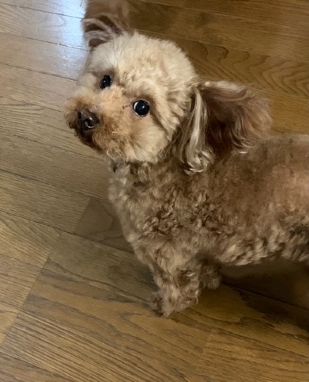 生き物ルーム第36