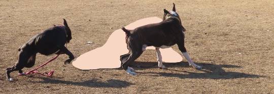 生き物ルーム第34