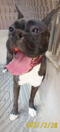 生き物ルーム第35