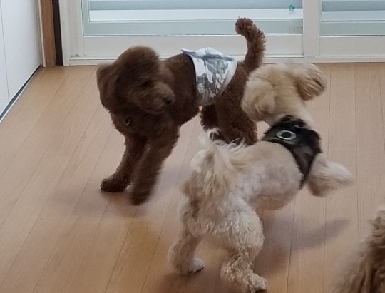 生き物ルーム第35