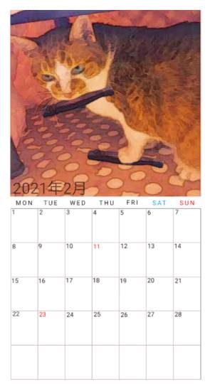 生き物ルーム第35