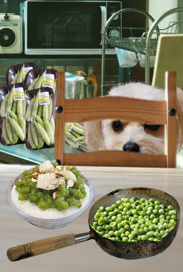 生き物ルーム第34