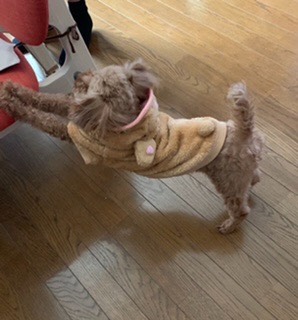 生き物ルーム第33