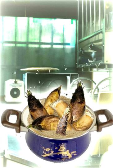 生き物ルーム第35