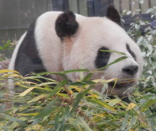 生き物ルーム第35