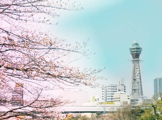 マスク同窓会詰所兼ニューフェイス歓迎所17