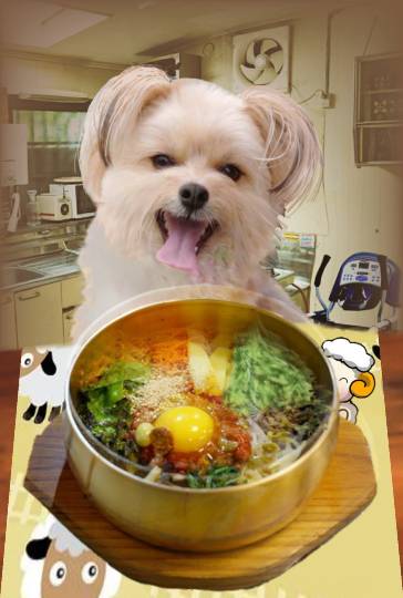 生き物ルーム第35