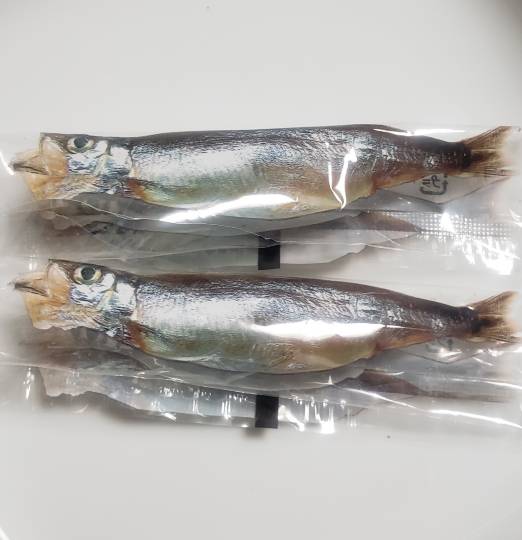 生き物ルーム第34