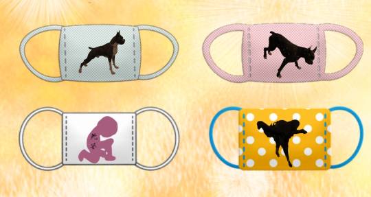 生き物ルーム第34