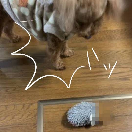 生き物ルーム第34