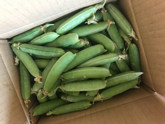 生き物ルーム第34