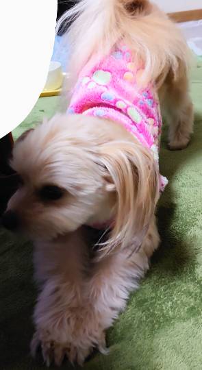 生き物ルーム第33