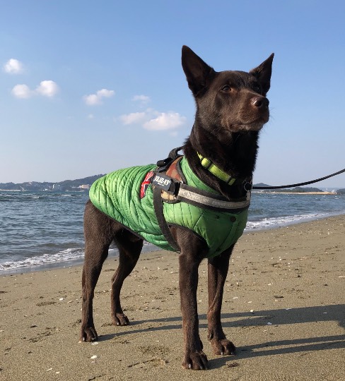 生き物ルーム第34