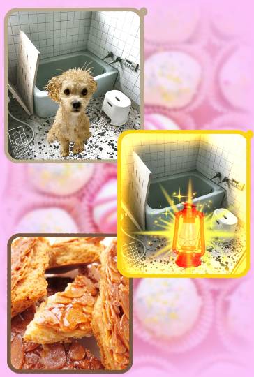 生き物ルーム第34