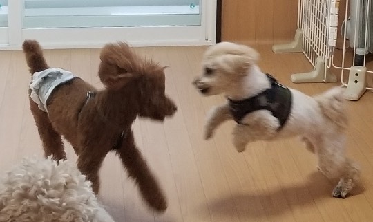 生き物ルーム第35