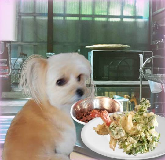 生き物ルーム第34