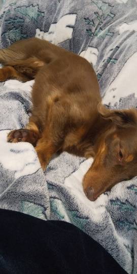 生き物ルーム第34