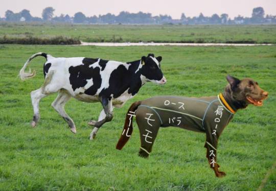 生き物ルーム第34