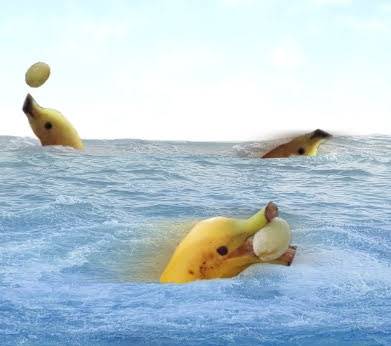 マスク同窓会詰所兼ニューフェイス歓迎所13