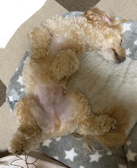 生き物ルーム第34