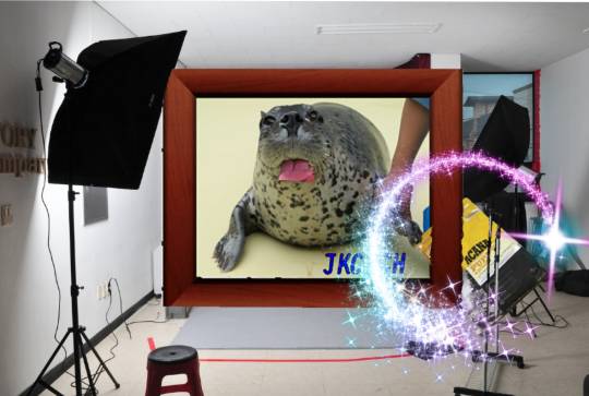 生き物ルーム第36