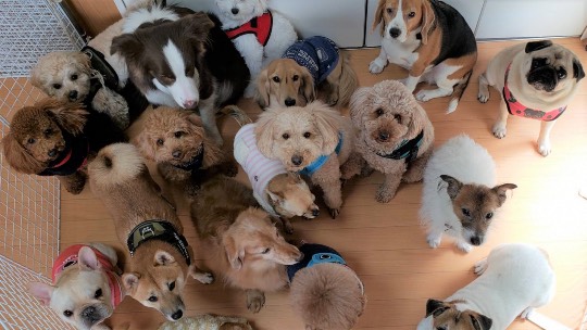 生き物ルーム第34