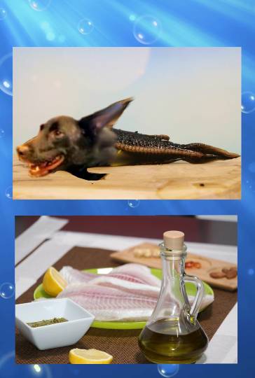 生き物ルーム第34