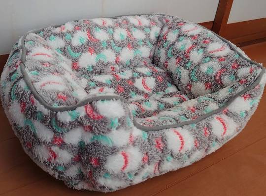 生き物ルーム第35