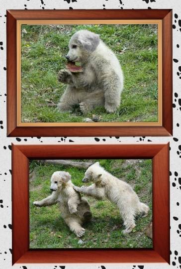 生き物ルーム第34