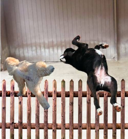 生き物ルーム第36