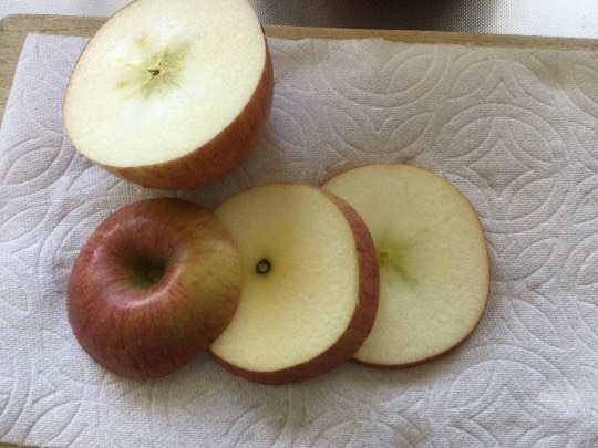 マスク同窓会詰所兼ニューフェイス歓迎所15