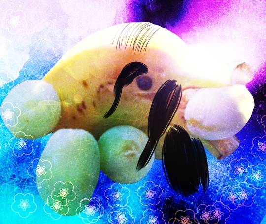 マスク同窓会詰所兼ニューフェイス歓迎所13