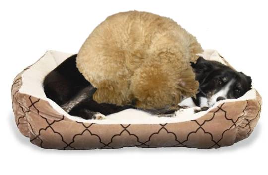 生き物ルーム第34