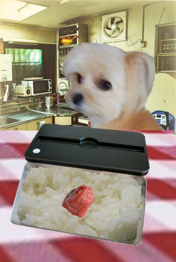 生き物ルーム第35