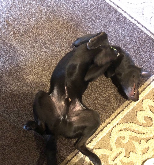 生き物ルーム第34