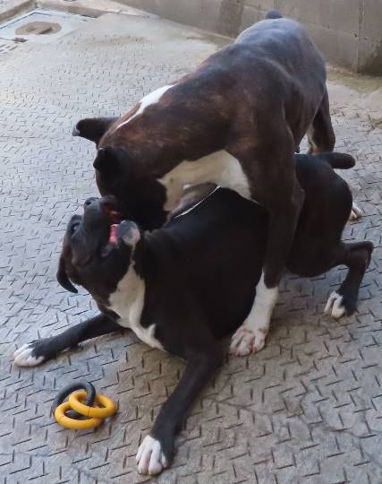 生き物ルーム第35