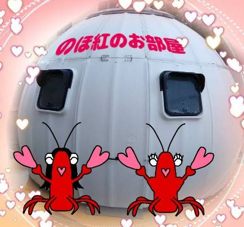 生き物ルーム第34